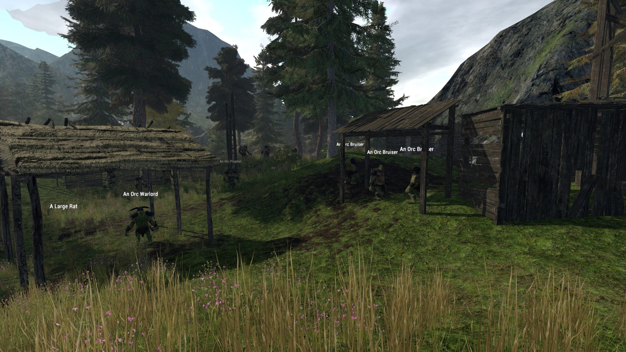 2016-May 26: Orc NPC camp in Avendyr's Pass