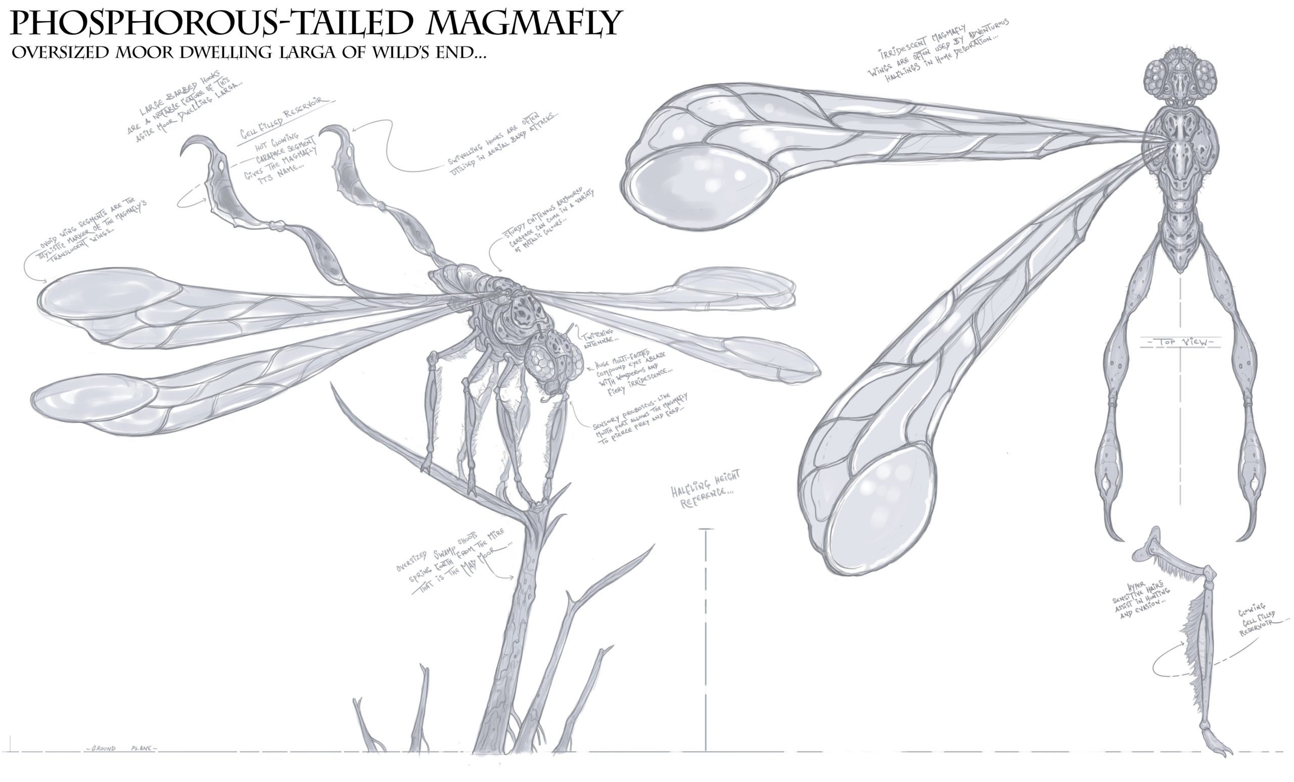 2021-Sep 16: concept art of a Phosphorous-Tailed Magmafly NPC